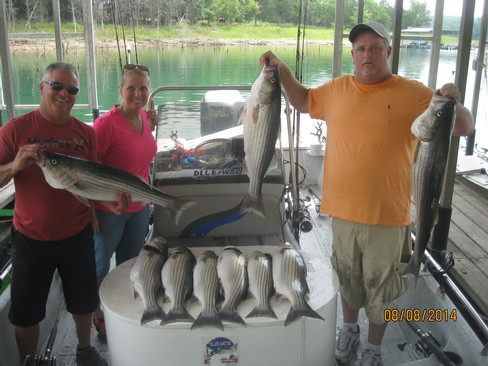 Nice Striped Bass